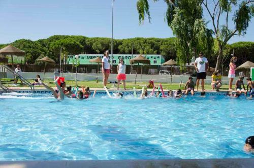 Bungalows-camping La Rana Verde