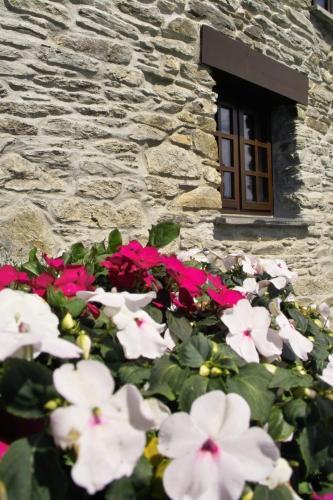 Agroturismo Little Larnick Farm