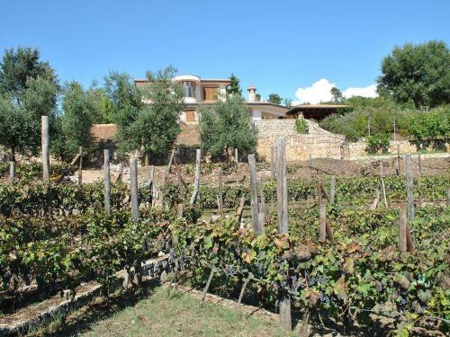 Villa The Grapes And The Stars