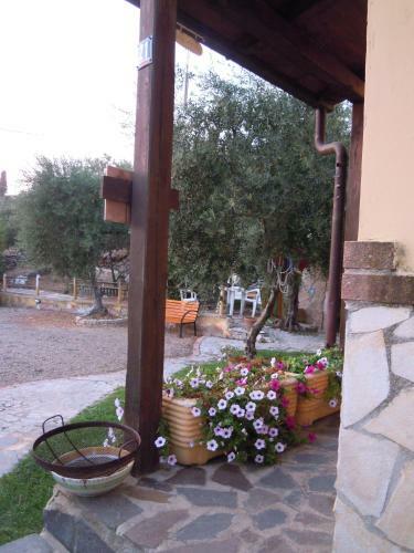 Bed & Breakfast Buenavistasurfmed