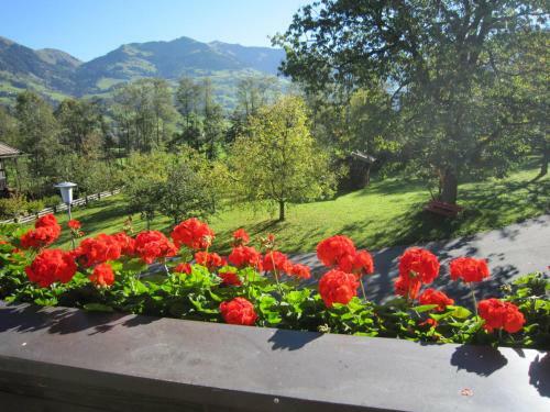 Agroturismo Pension Feiersinger