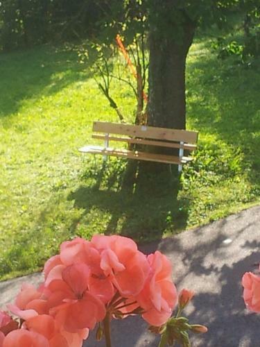 Agroturismo Pension Feiersinger