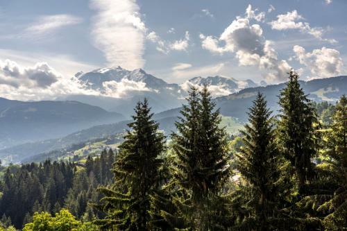 Aparthotel La Grande Cord�e