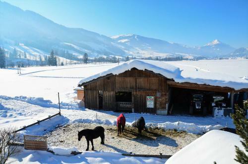 Agroturismo Kleint�dlinggut
