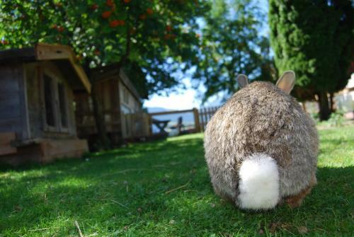 Agroturismo Kleint�dlinggut