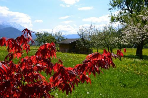 Agroturismo Kleint�dlinggut
