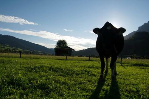 Agroturismo Kleint�dlinggut