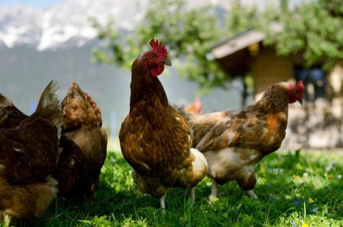 Agroturismo Kleint�dlinggut