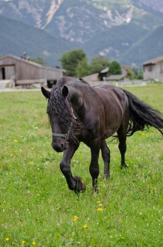 Agroturismo Kleint�dlinggut