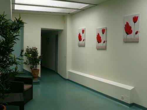 Apartamento R�sidence Du Parad'ice