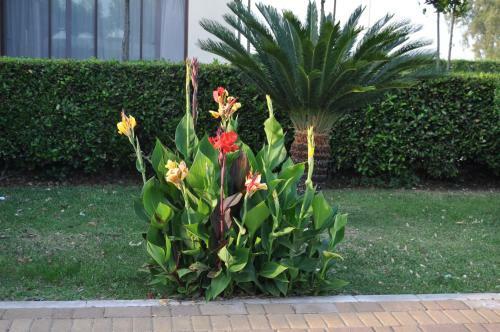 Bed & Breakfast Giardini Di Marzo