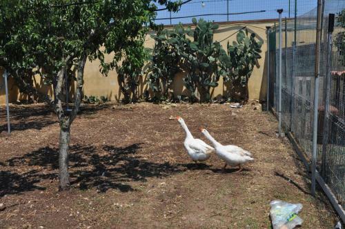 Bed & Breakfast Giardini Di Marzo