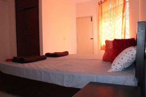 Albergue Social Rehab