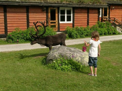 Hotel Femundtunet