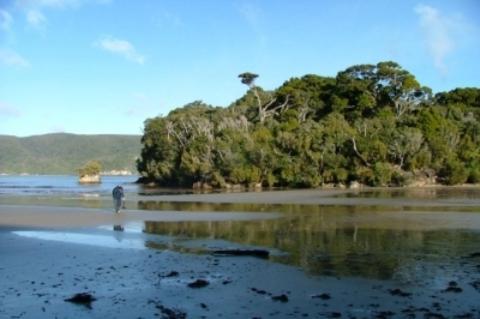 Motel South Sea Hotel - Stewart Island