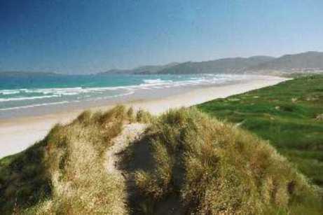Motel South Sea Hotel - Stewart Island