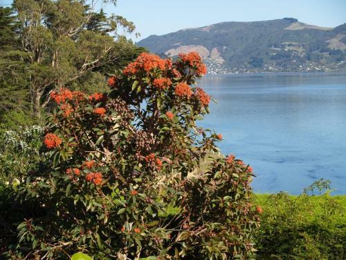 Bed & Breakfast Captain Eady's Lookout