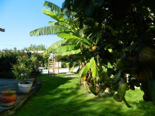 Bed & Breakfast La Girouardi�re