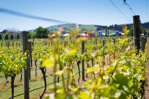 Hotel Margrain Vineyard Villas