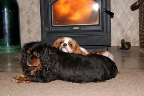 Bed & Breakfast Gully Retreat Karapiro