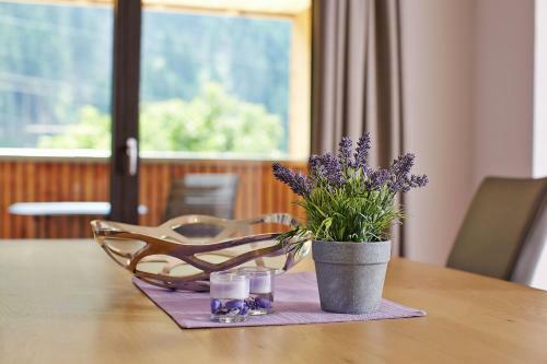 Apartamento Appart Gastauer