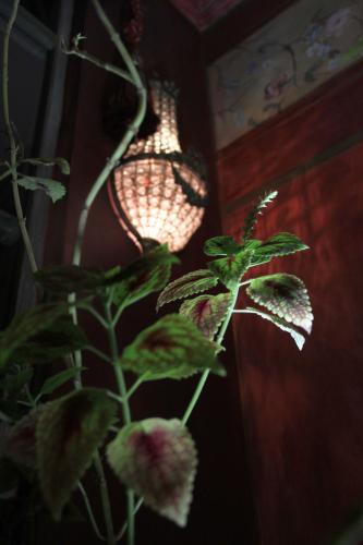 Hostal Ines Maria