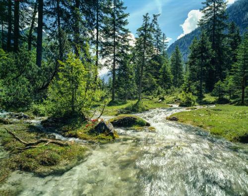 Hotel L�rchenhof Natur