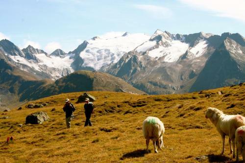 Hotel L�rchenhof Natur