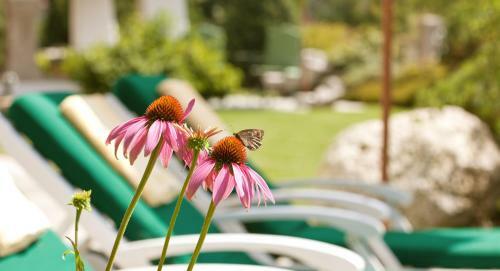 Hotel L�rchenhof Natur