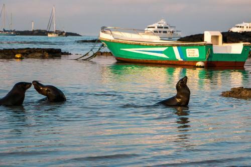 Apartamento Chez Manany Galapagos Ecolodge