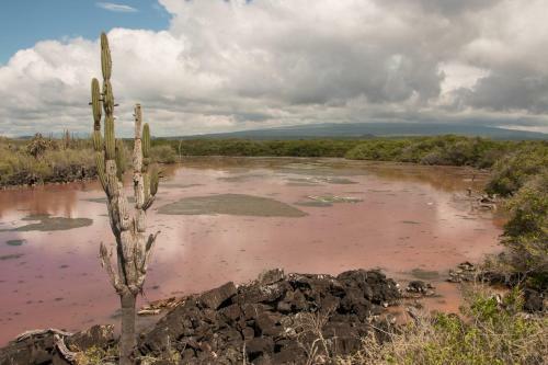 Apartamento Chez Manany Galapagos Ecolodge