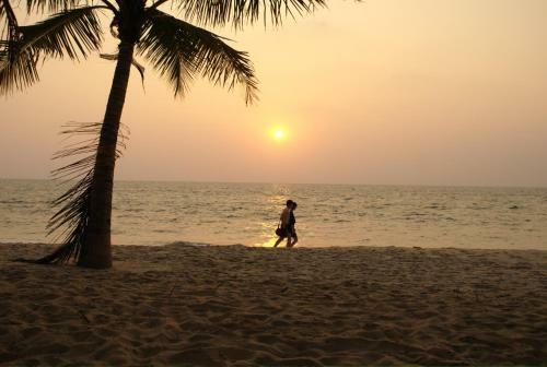 A Beach Symphony