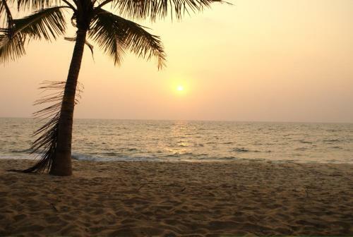 A Beach Symphony
