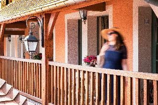 Hotel Et Spa Le Lion D'or