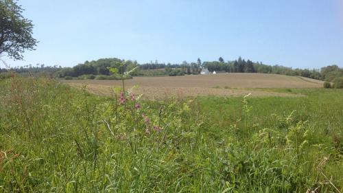 Bed & Breakfast L'araucaria