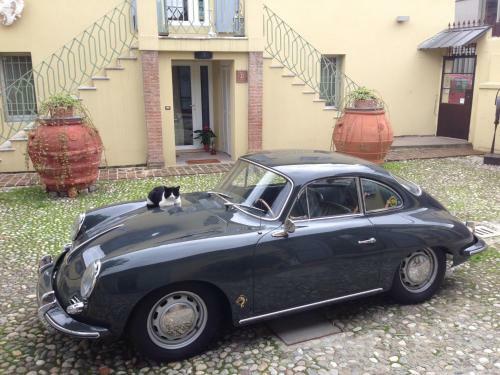 B&B Cesare Magli & Figli