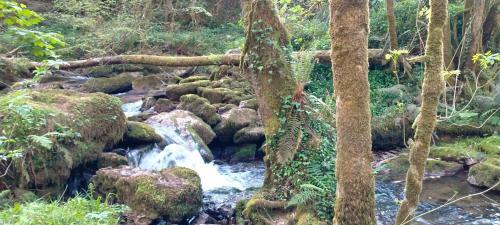 Agroturismo Tiu Xico