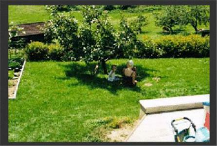 Apartamento Ferienwohnung Jeller