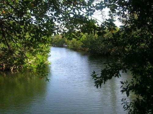 Apartamento Ed & Ellen's Lodging Big Pine Key