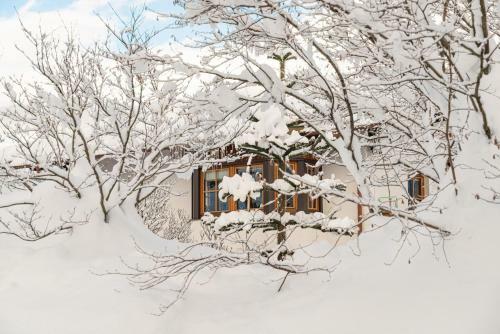 Apartamento Haus Marlies