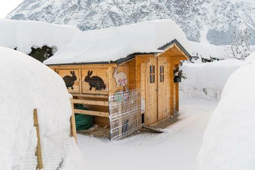 Apartamento Haus Marlies