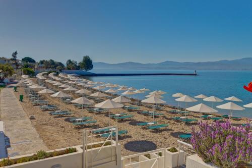 Hotel Palmariva Beach Bomo Club