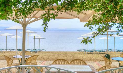 Hotel Palmariva Beach Bomo Club