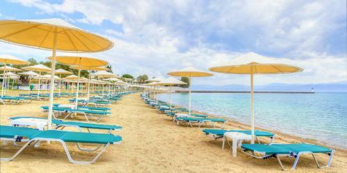 Hotel Palmariva Beach Bomo Club