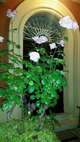 B&B Villa Storica Calderino