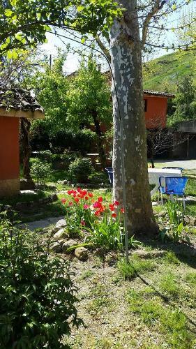 B&B Villa Storica Calderino