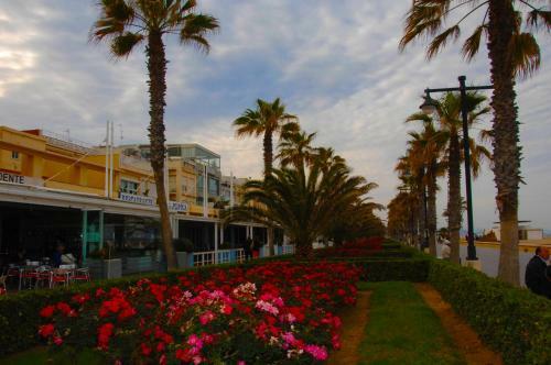 Accommodation Beach Apartments