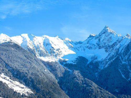 Apartamento Ferienhaus Alpina