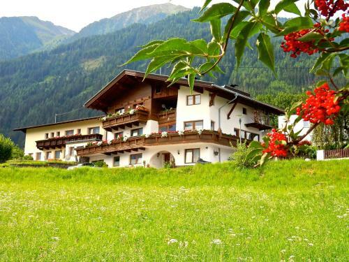 Apartamento Ferienhaus Alpina