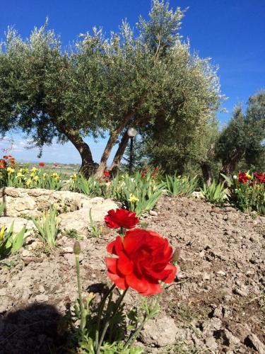 Agroturismo Coscio Di Badia